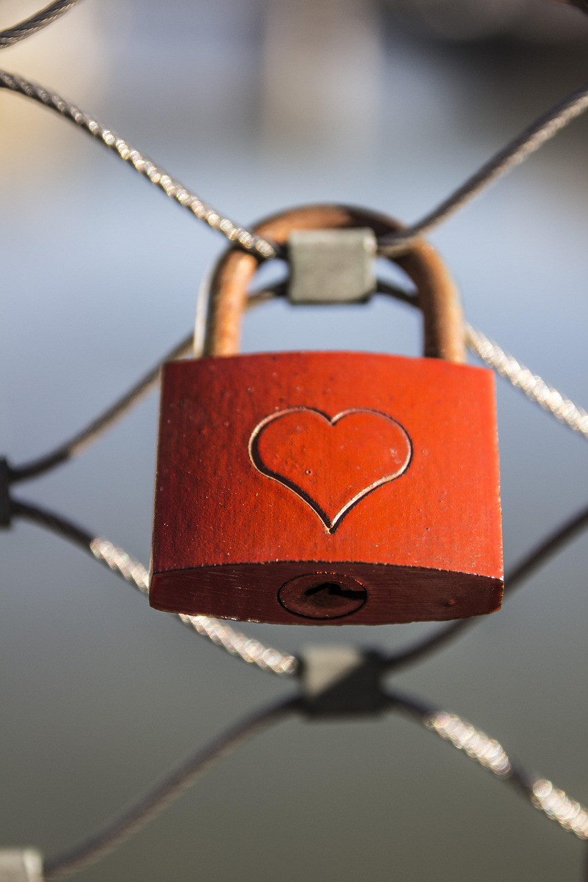 heart, lock, padlock, fence, locked, love lock, symbol, love, love symbol, valentines day, grid, heart, heart, lock, lock, love, love, love, love, love